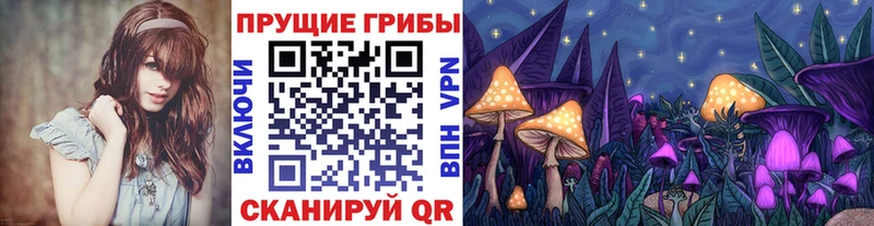 Псилоцибиновые грибы ЛСД  наркота  Исилькуль 